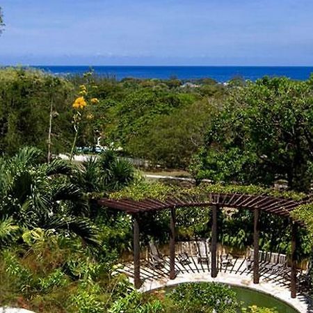 Villa Elsewhere Holetown Exterior photo